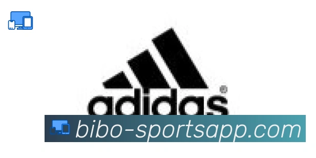 必博bibo官网体育合作伙伴